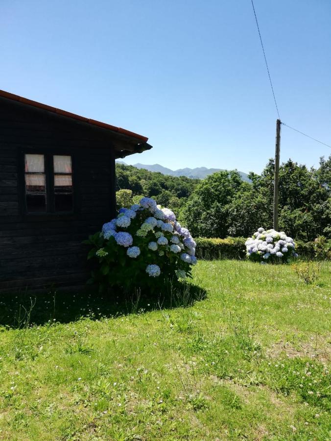 La Casa Nueva Alojamiento Rural Cereceda  Exterior foto
