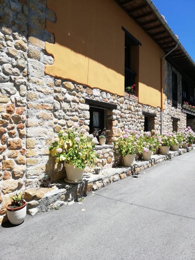 La Casa Nueva Alojamiento Rural Cereceda  Exterior foto
